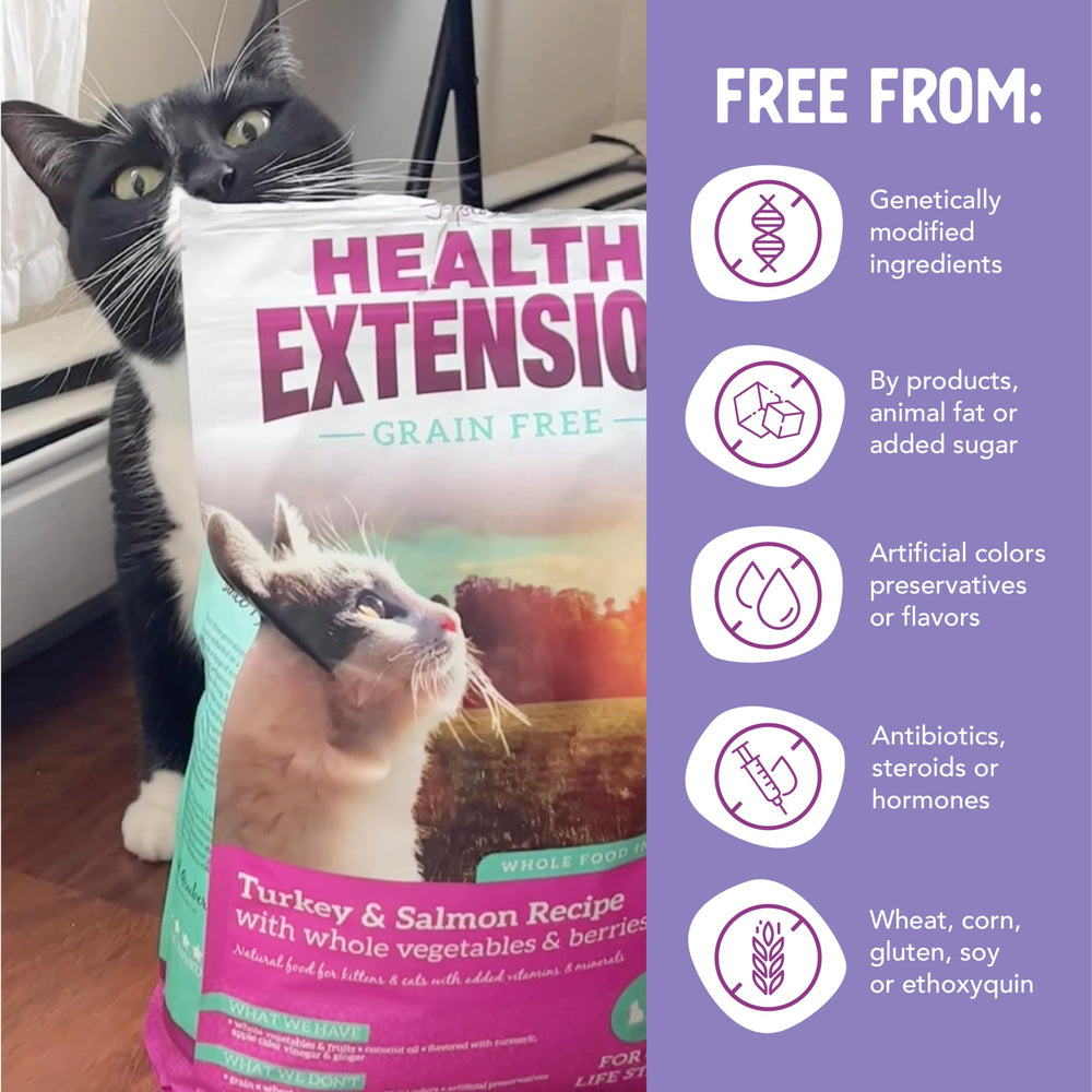 Health Extension probiotics and turmeric aid digestion and comfort