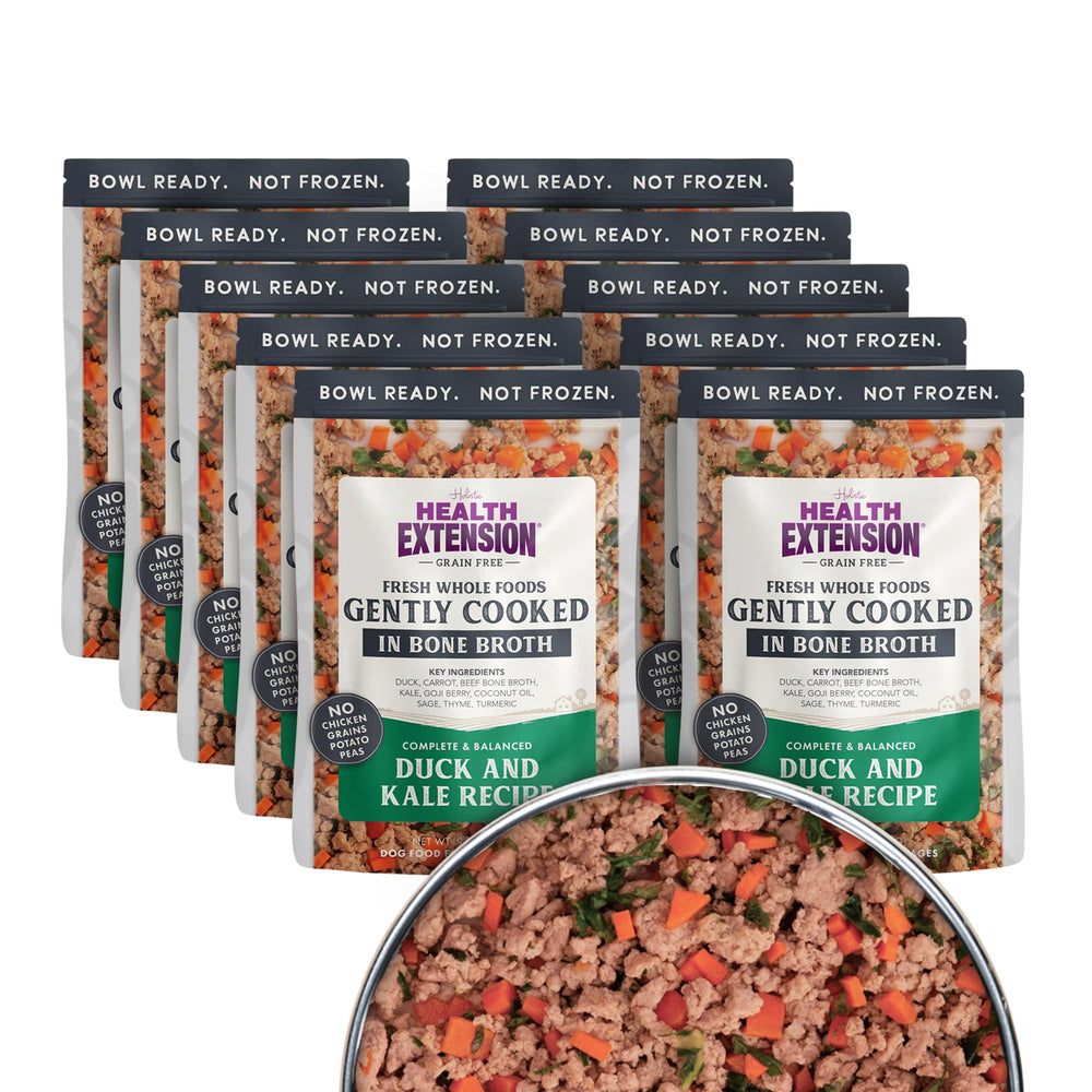 Health Extension gently cooked duck-kale dog food served in a bowl for picky eaters.
