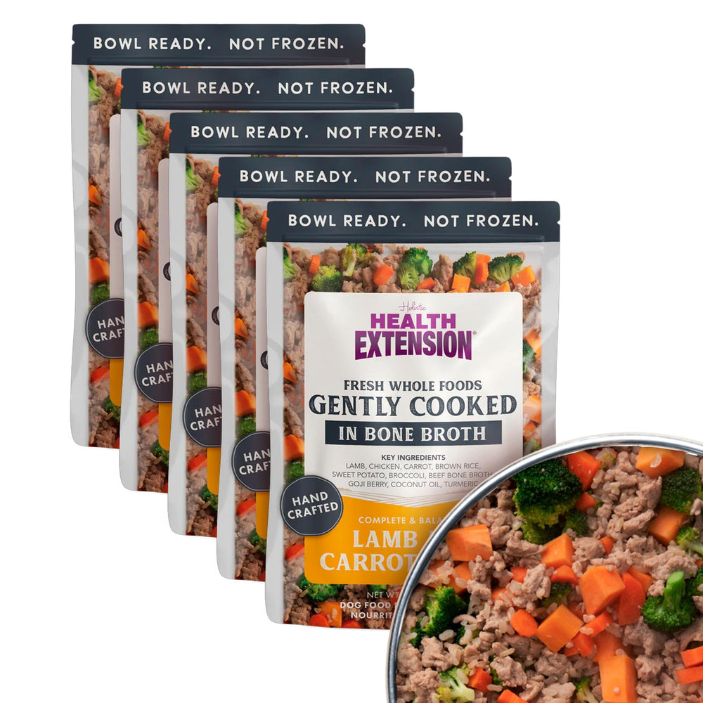 Health Extension Gently Cooked Lamb bowl closeup showing appealing texture for picky eaters.