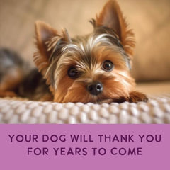 Health Extension human-grade ingredients dog food—family-favorite, nutrient-dense formulation.