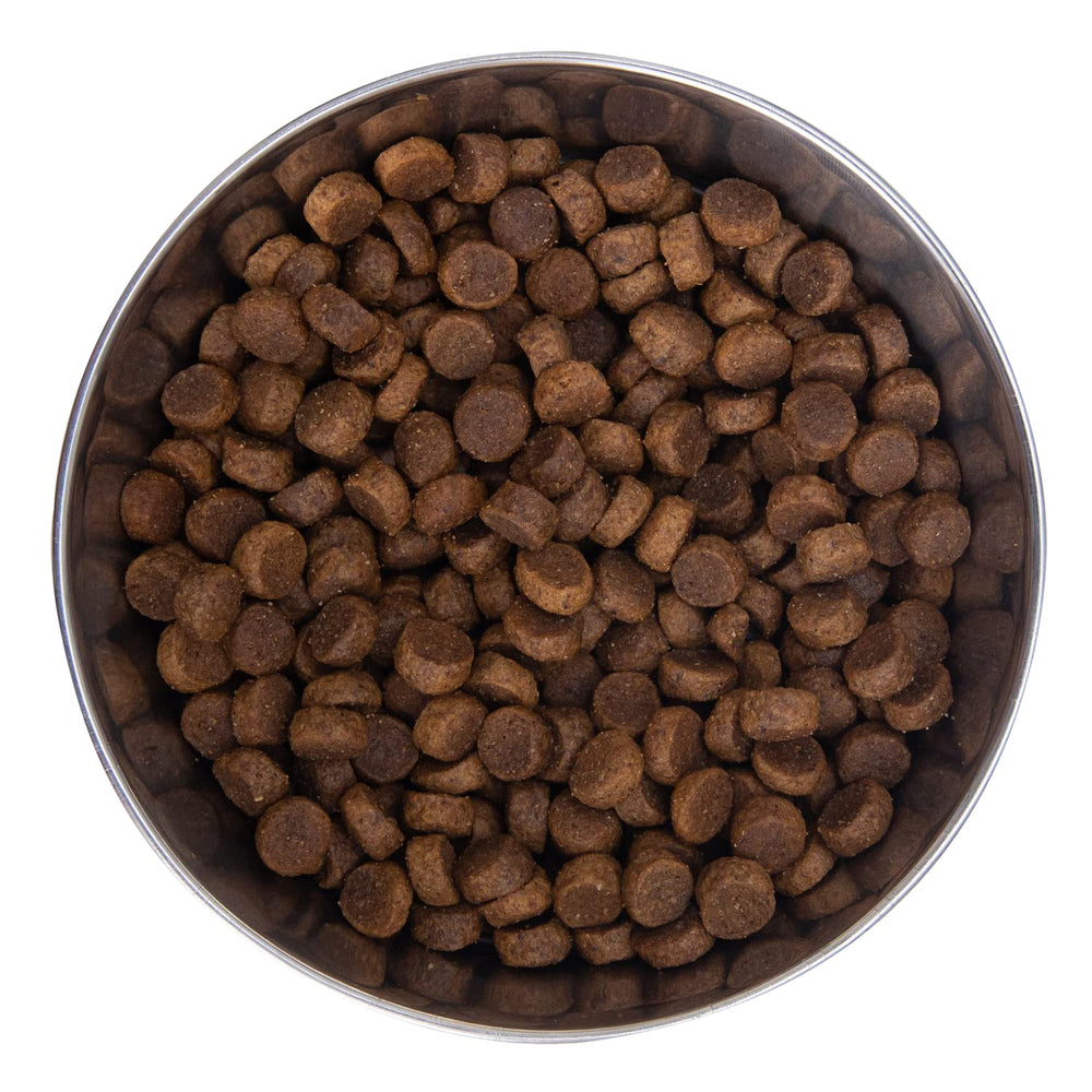 Health Extension Large Bites dog bowl with kibble demonstrates slower-eating design for large breeds