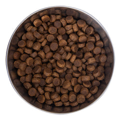 Health Extension Large Bites dog bowl with kibble demonstrates slower-eating design for large breeds