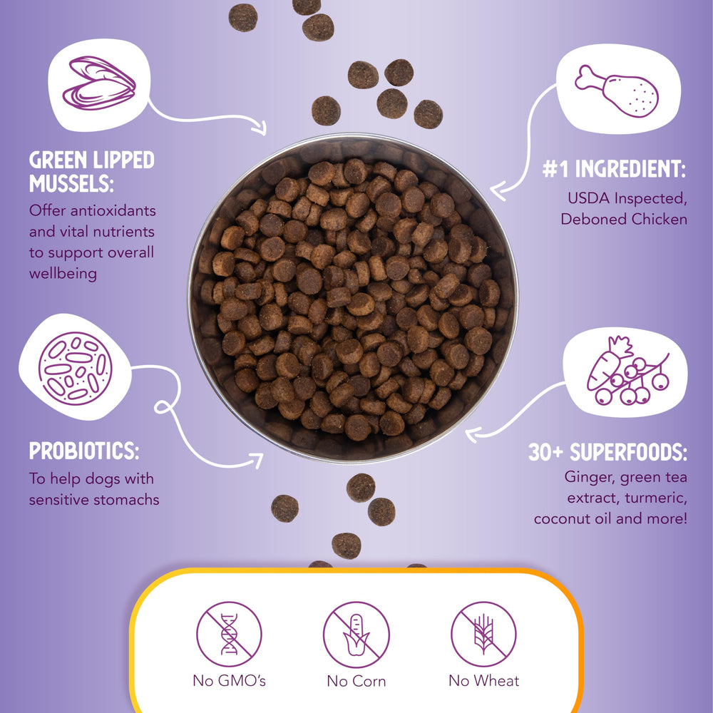 Health Extension Large Bites ingredients closeup hints turmeric and coconut oil benefits