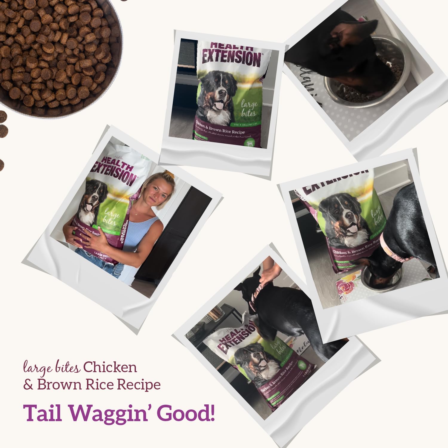 Health Extension Large Bites kibble texture closeup highlights easy-to-digest brown rice base
