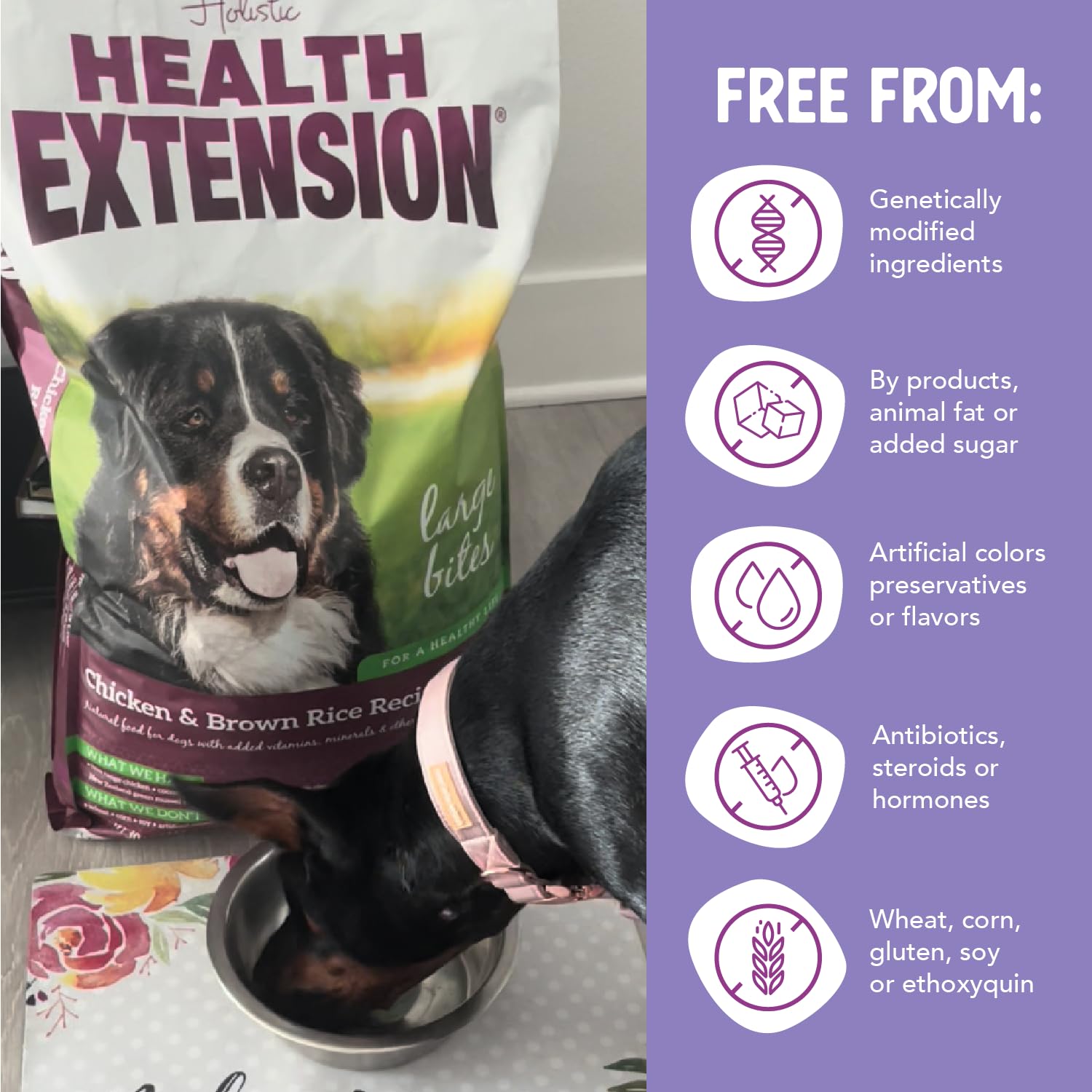 Health Extension Large Bites packaging shot communicates no fillers or artificial additives