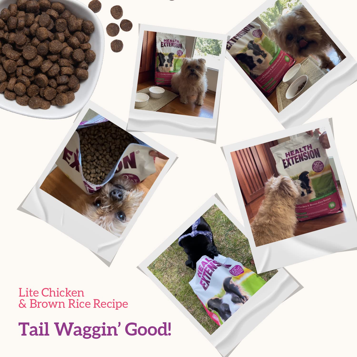 Health Extension Lite adult and senior dog meal prep imagery for steady energy.