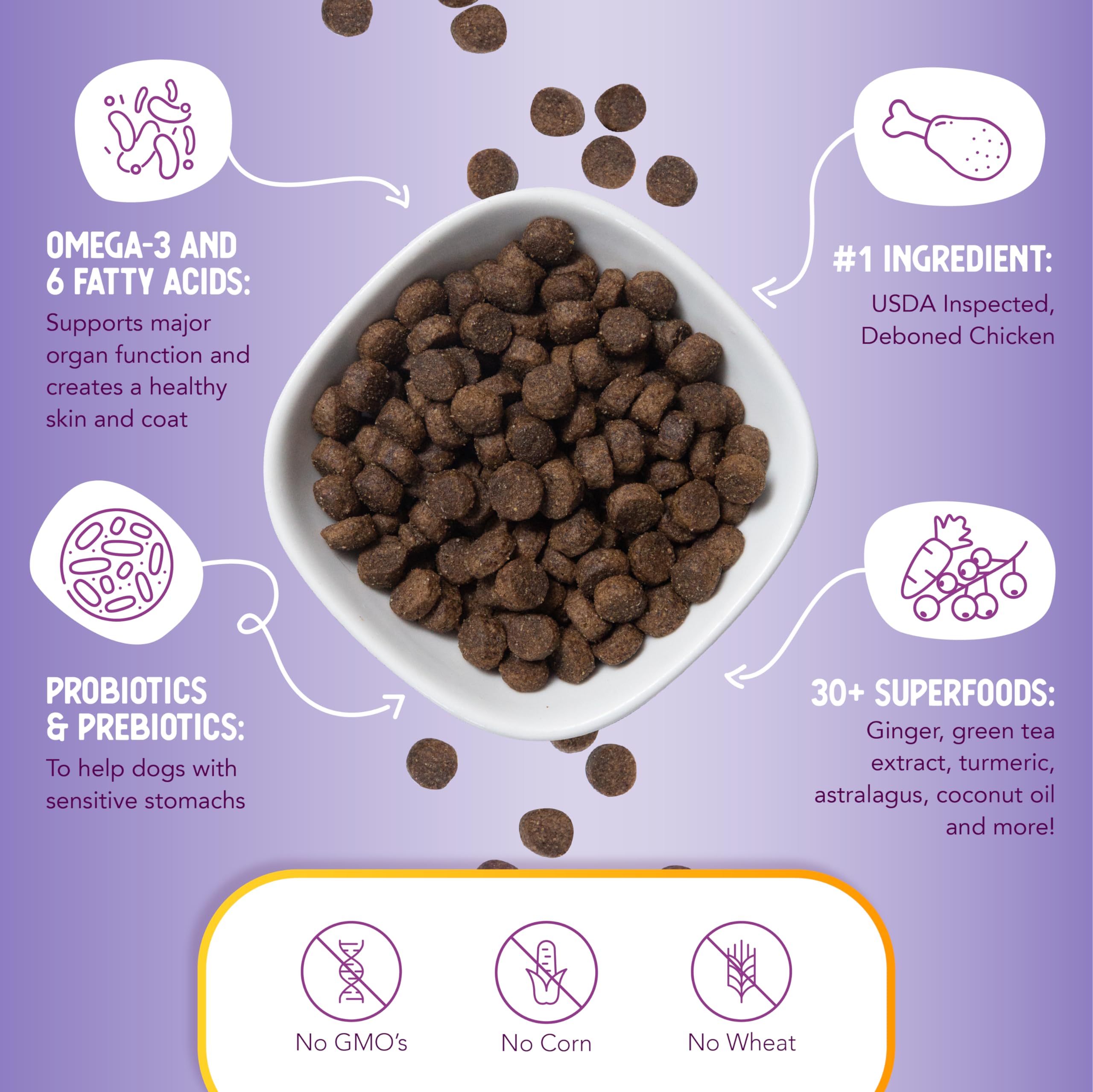Health Extension Lite superfoods image features turmeric and berries for holistic health.