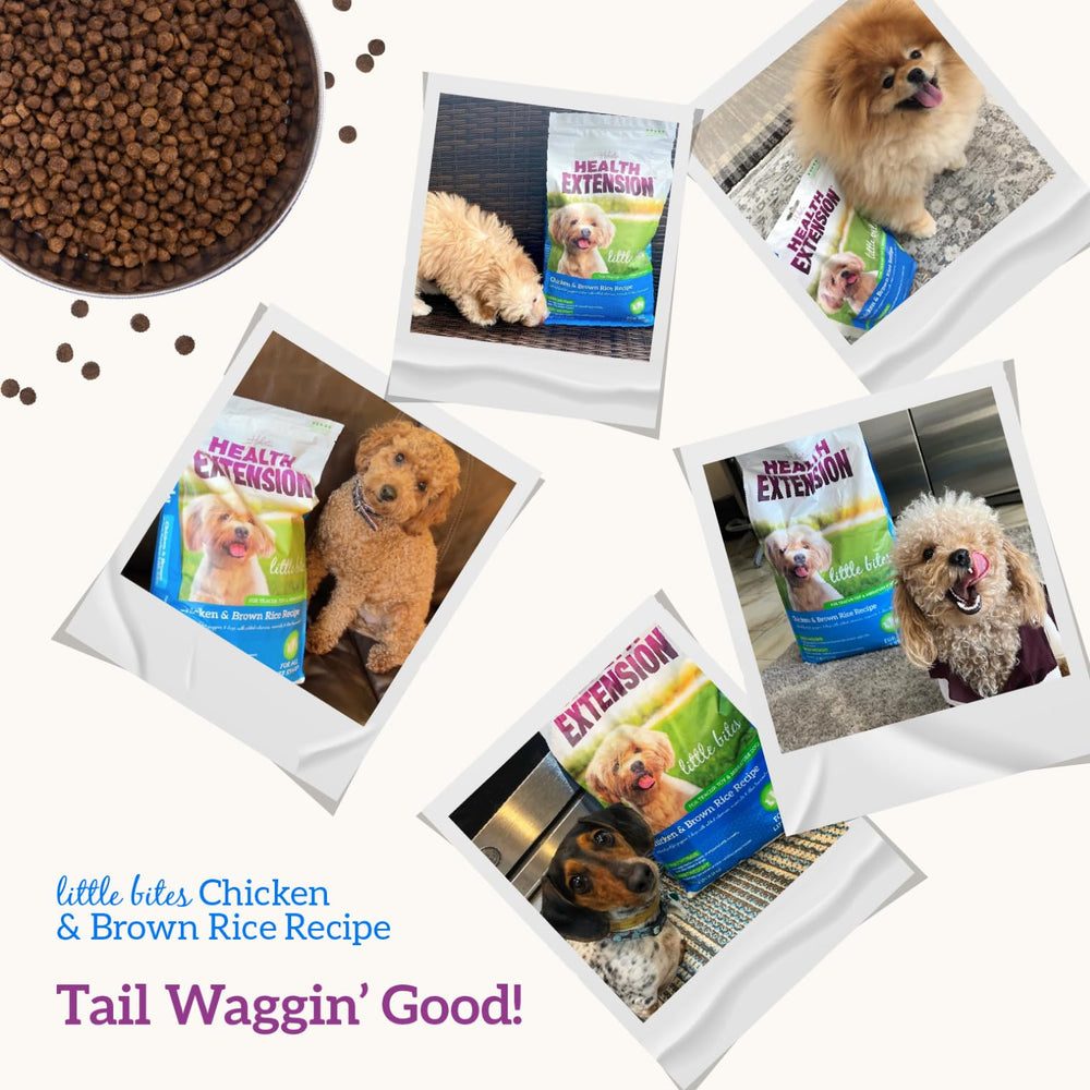 Health Extension Little Bites brown-rice-digestion image emphasizes digestible grains for gentle digestion