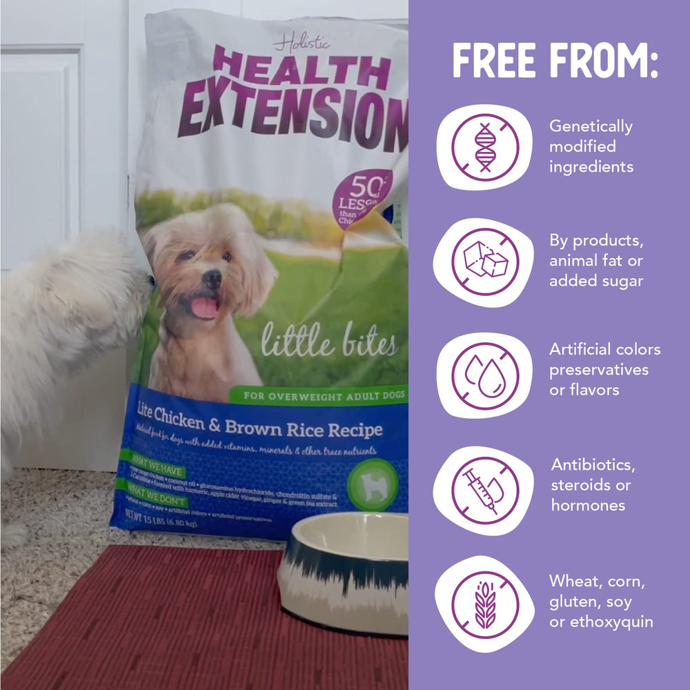 Health Extension Little Bites Lite glucosamine-chondroitin image illustrating joint support ingredients