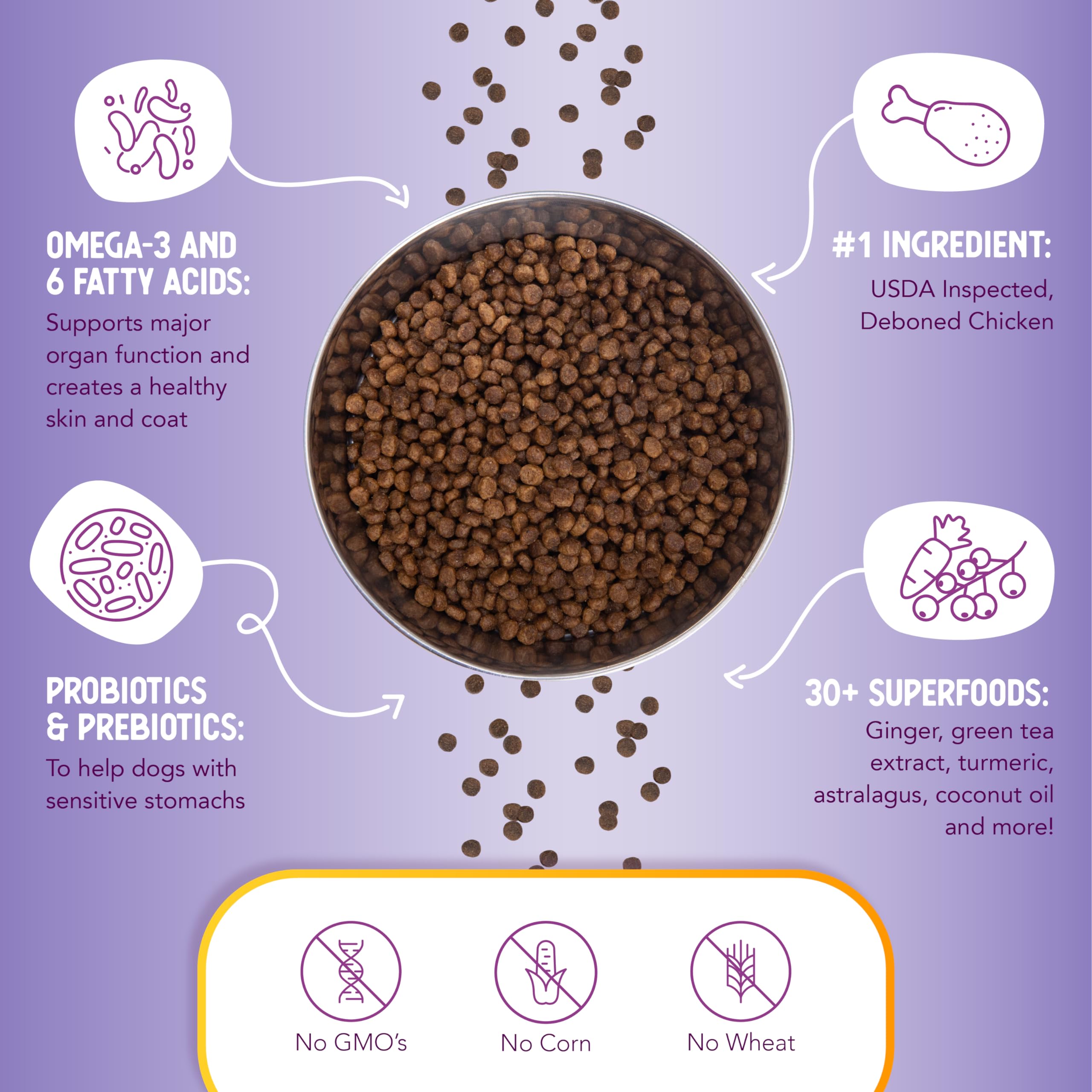 Health Extension Little Bites Lite probiotics icon communicates digestive support with natural probiotics.