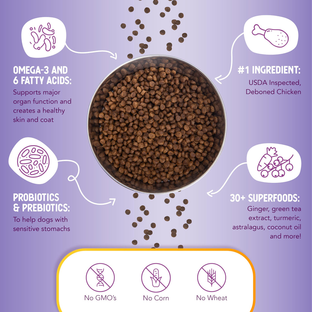 Health Extension Little Bites Lite probiotics icon communicates digestive support with natural probiotics.