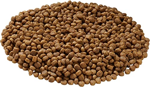 Health Extension Little Bites no-fillers close-up emphasizes clean ingredients for sensitive stomachs.