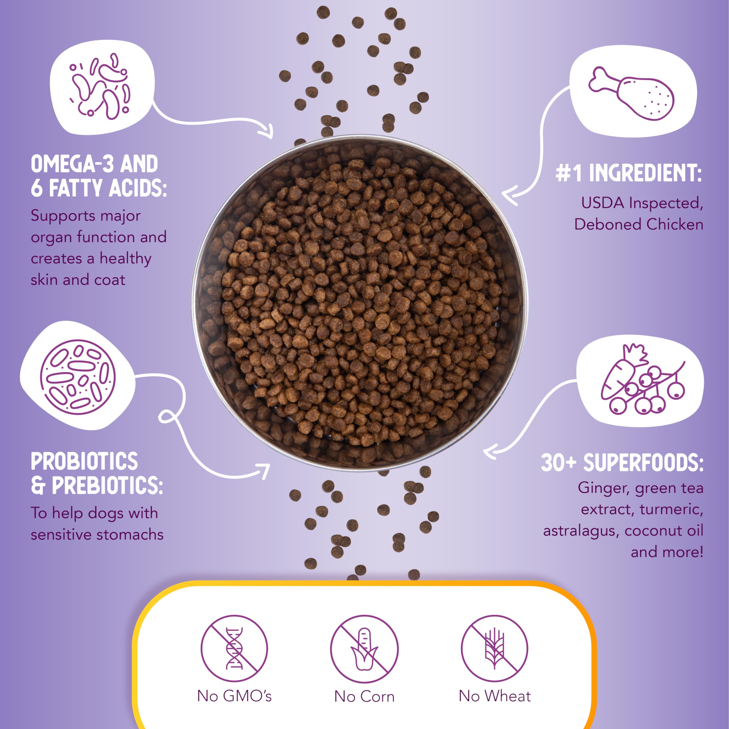 Health Extension Little Bites probiotic boost label suggesting digestive support