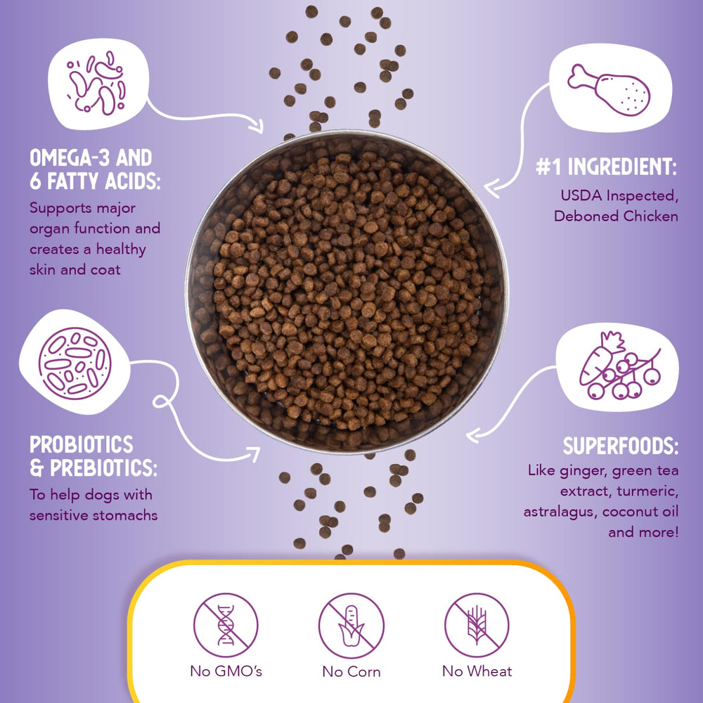 Health Extension Little Bites probiotics-digestive-health image emphasizes gut balance for small dogs