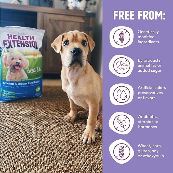 Health Extension Little Bites probiotics and prebiotics support digestion.