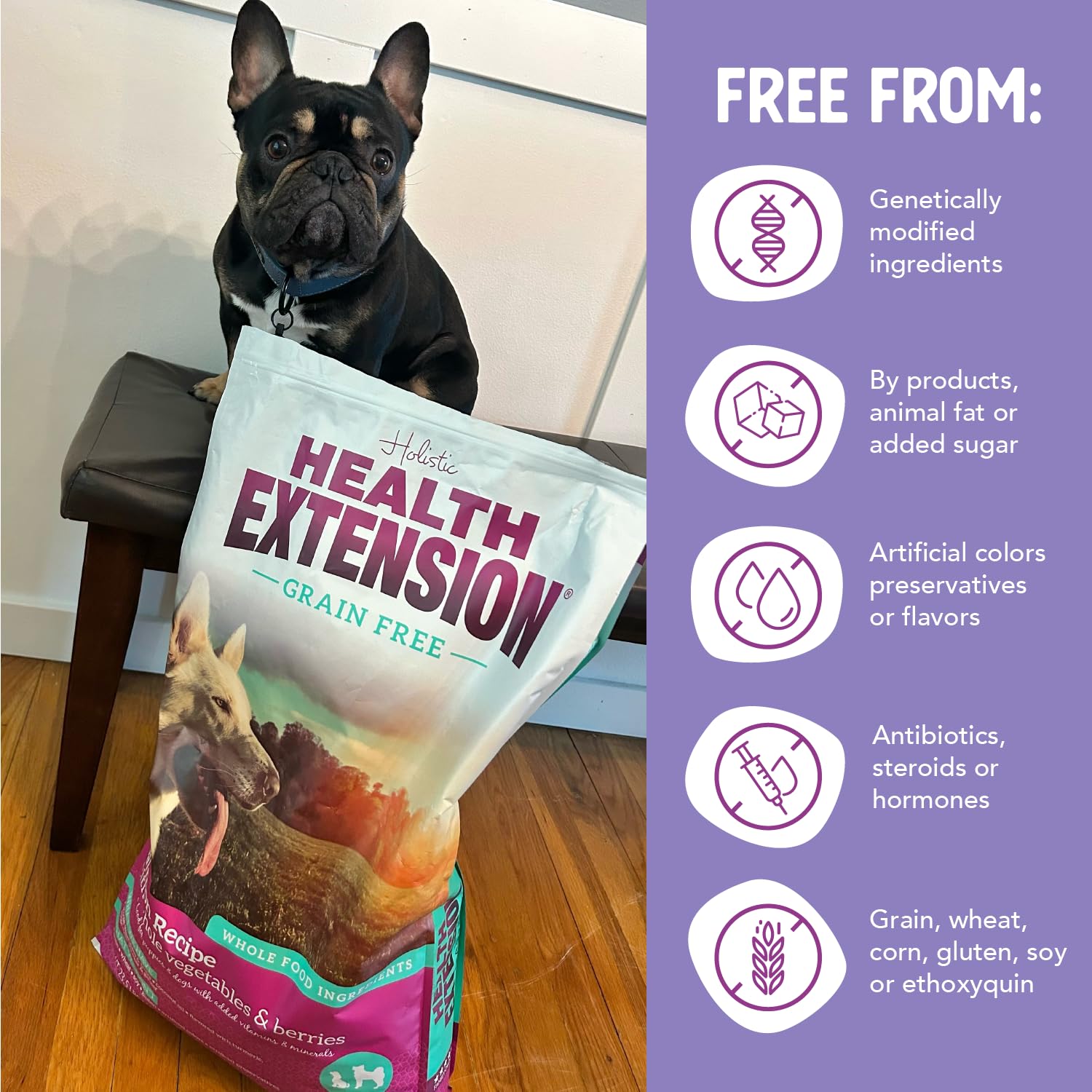 Health Extension no-artificial-additives packaging signals clean, grain-free nutrition for dogs.