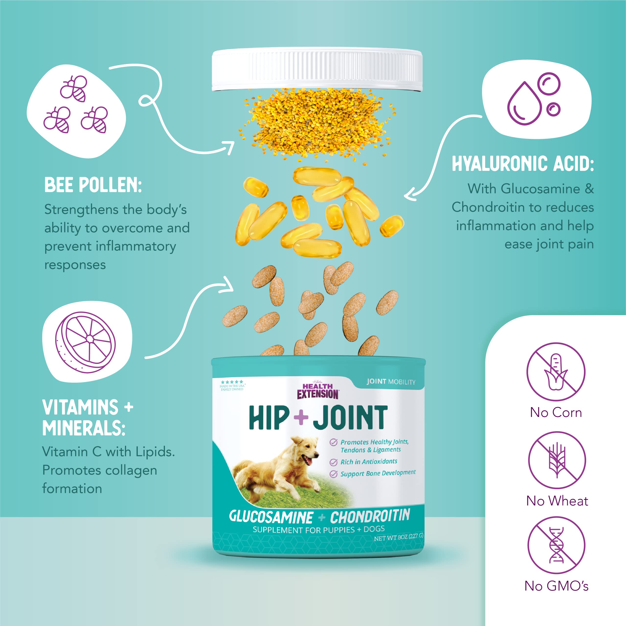 Picky-eater dog happily eats meals with cheese-flavored Health Extension supplement