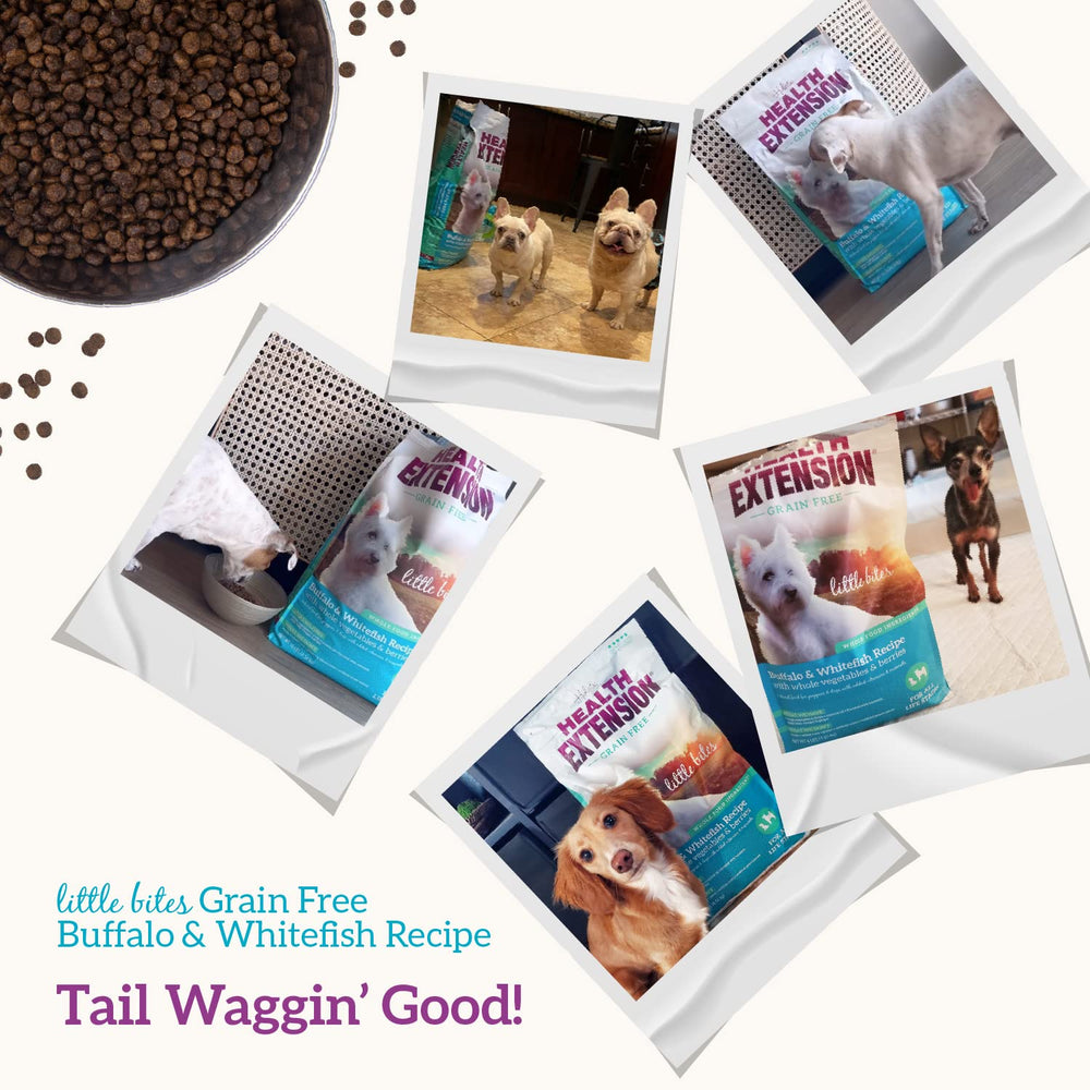 Health Extension probiotic-rich formula highlights digestive health support for puppies.