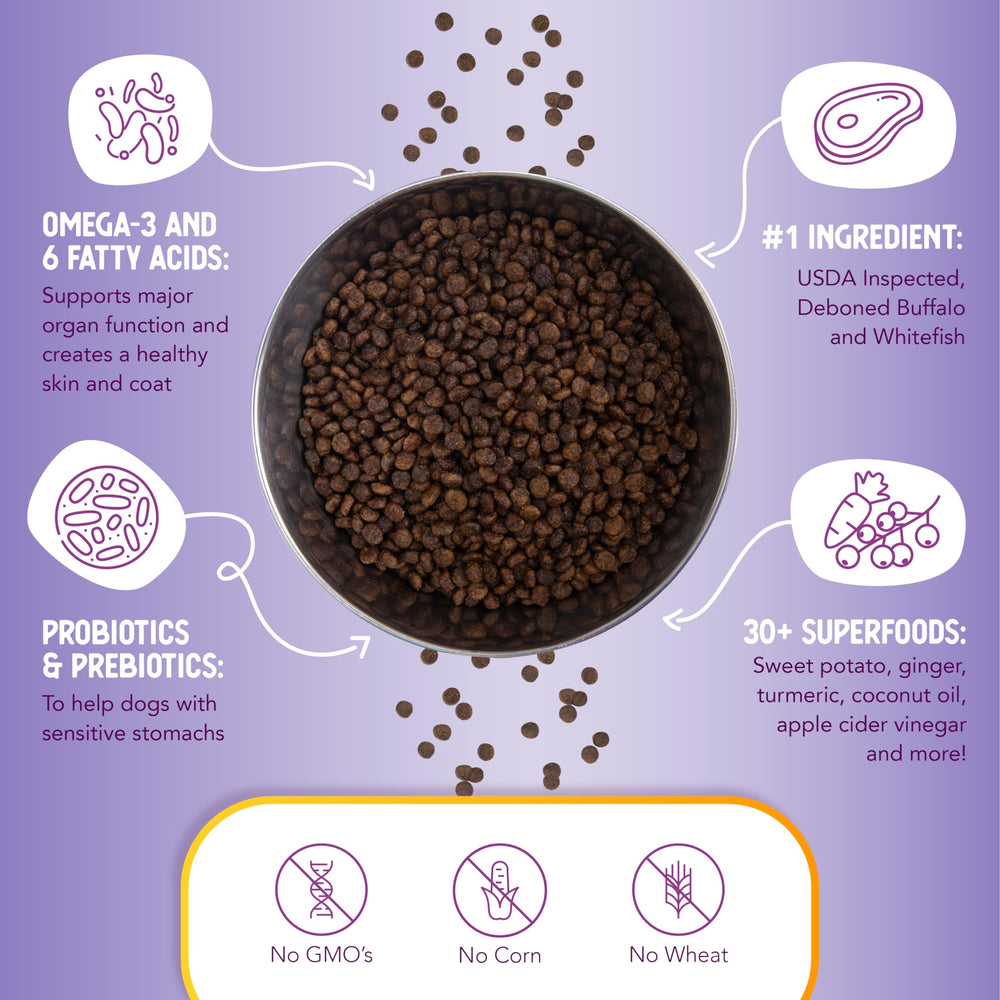 Health Extension probiotics-digestive-health shot communicates gut-balancing ingredients for small dogs.