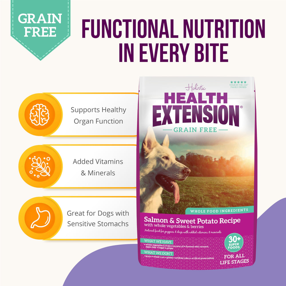 Health Extension probiotics digestive-health image underscores gut-friendly balance and happy tummies.