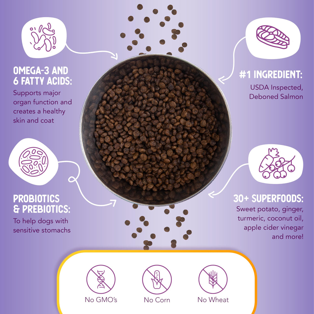 Health Extension probiotics image emphasizes gut-friendly formula supporting digestion