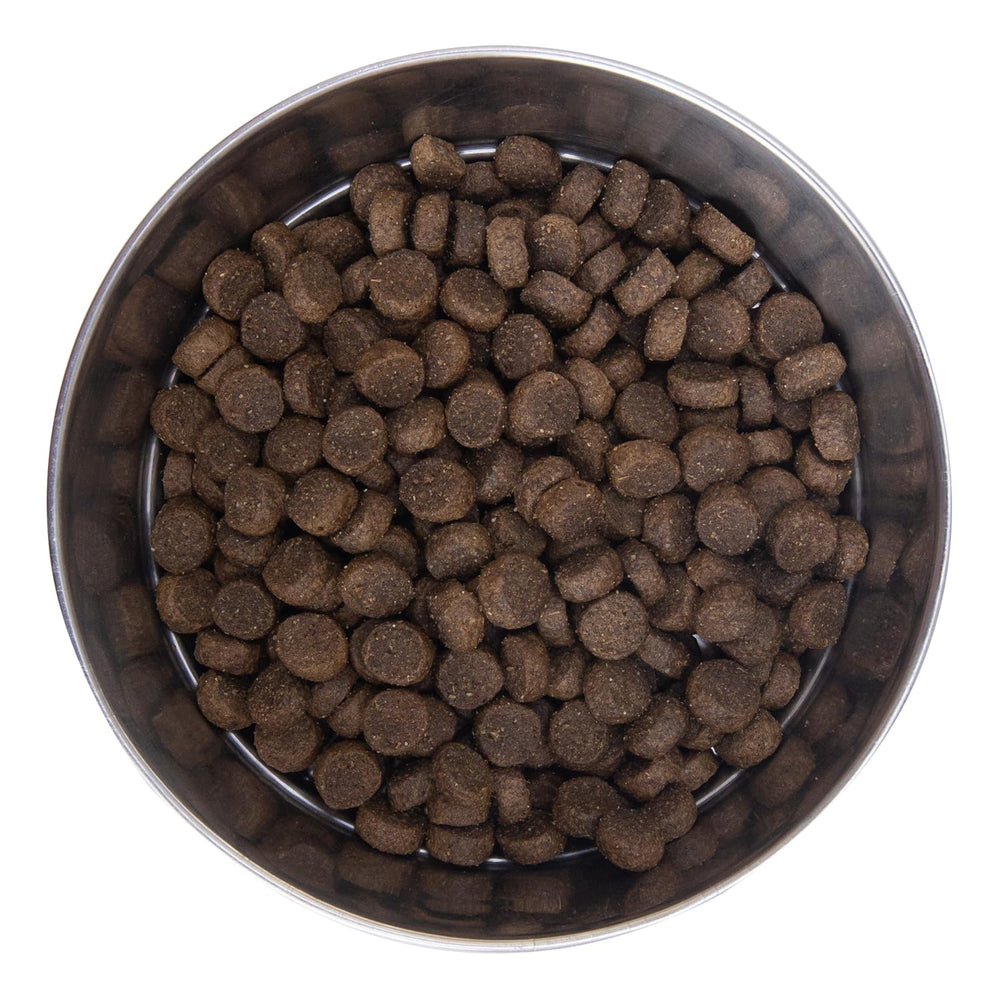 Health Extension probiotics-superfoods: gut balance and natural antioxidant support for dogs.
