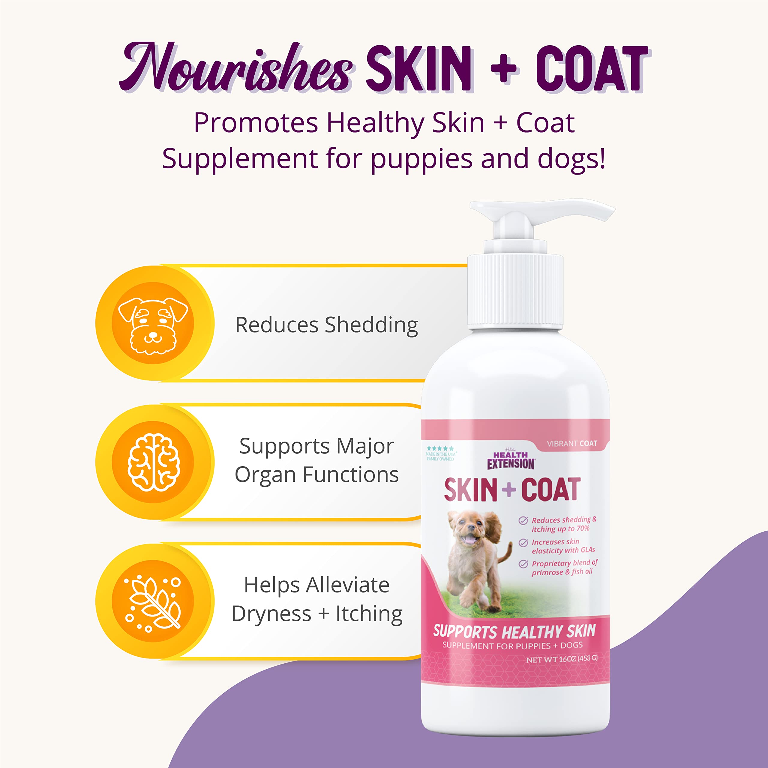 Health Extension Skin & Coat adult-dosing-teaspoon demonstrates simple daily dosing for adults.