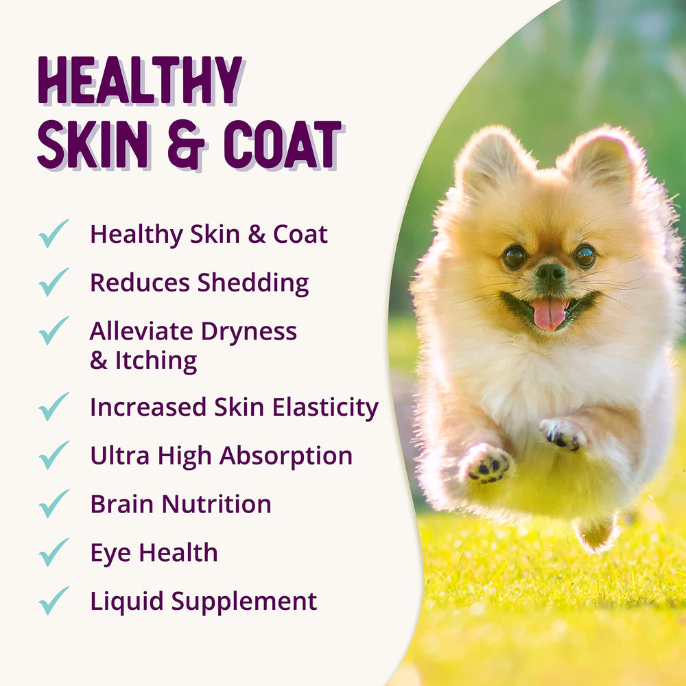 Health Extension Skin & Coat brand-label-packaging signals a trusted daily wellness option.