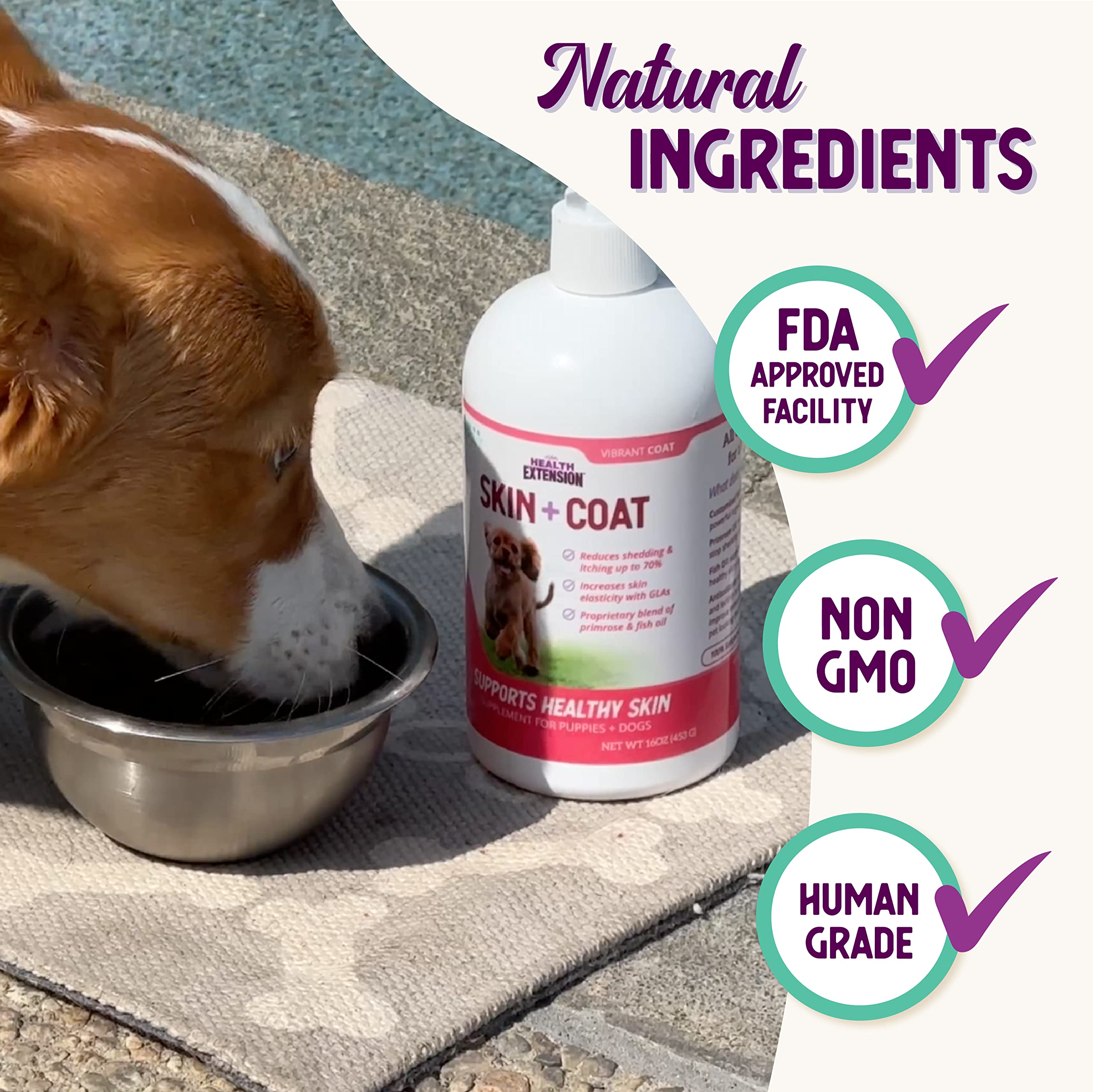 Health Extension Skin & Coat dog-skin-closeup emphasizes hydration and itch relief potential.