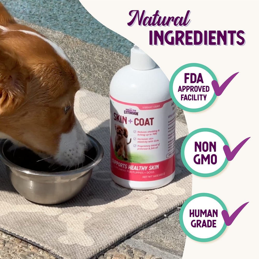 Health Extension Skin & Coat dog-skin-closeup emphasizes hydration and itch relief potential.