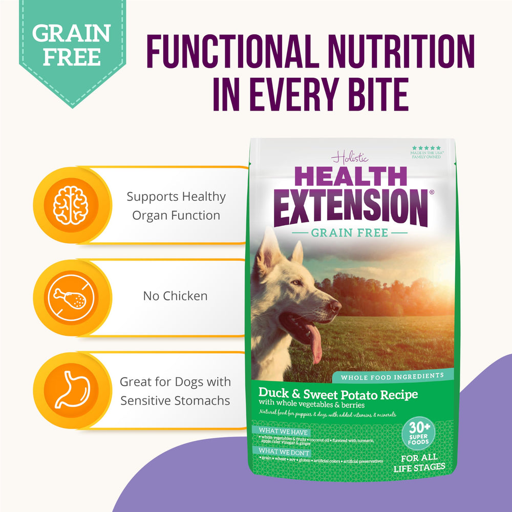 Health Extension sweet-potato ingredients close-up for gentle energy and gut-friendly nutrition