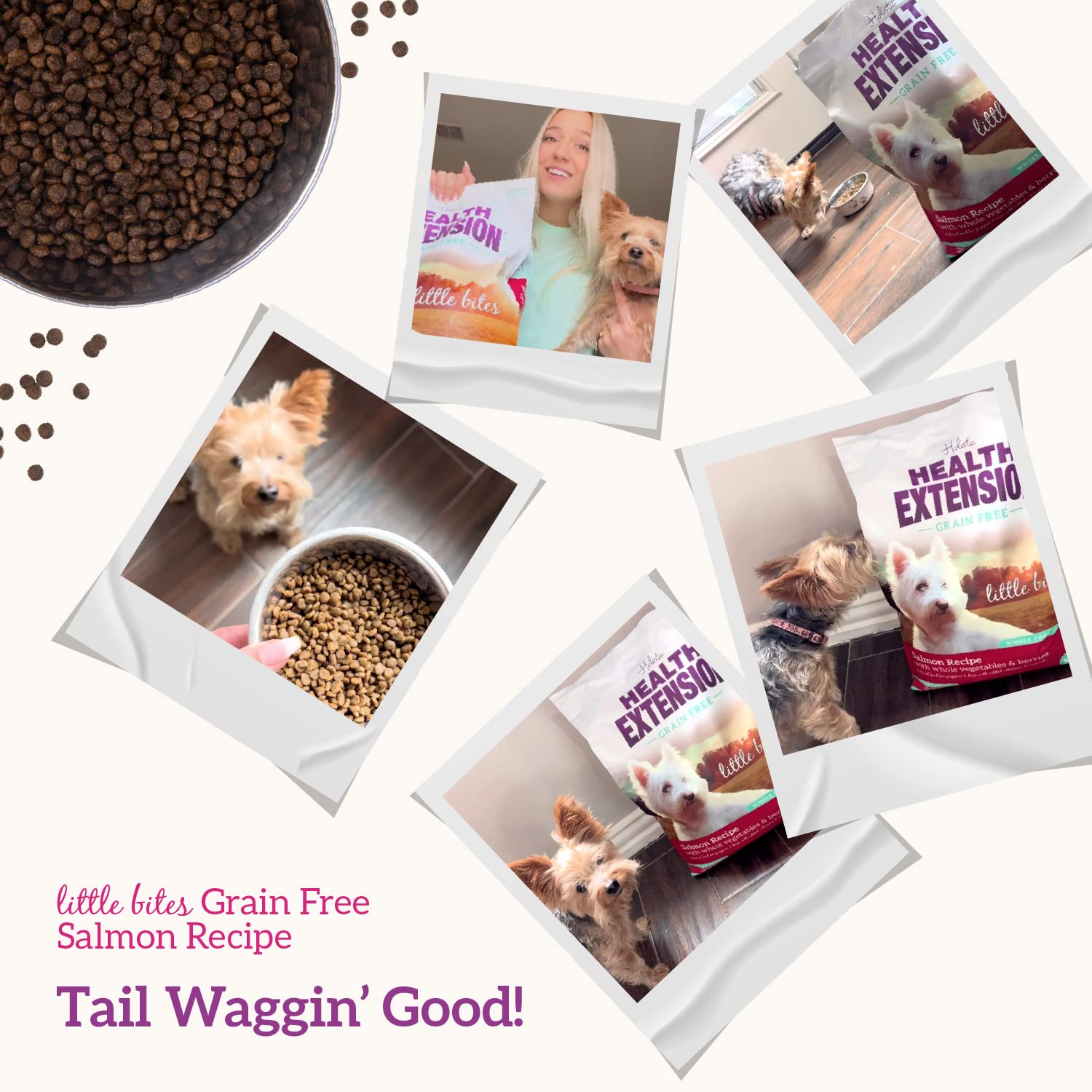 Health Extension teacup dog meal serving scene suggests portion-controlled daily feeding