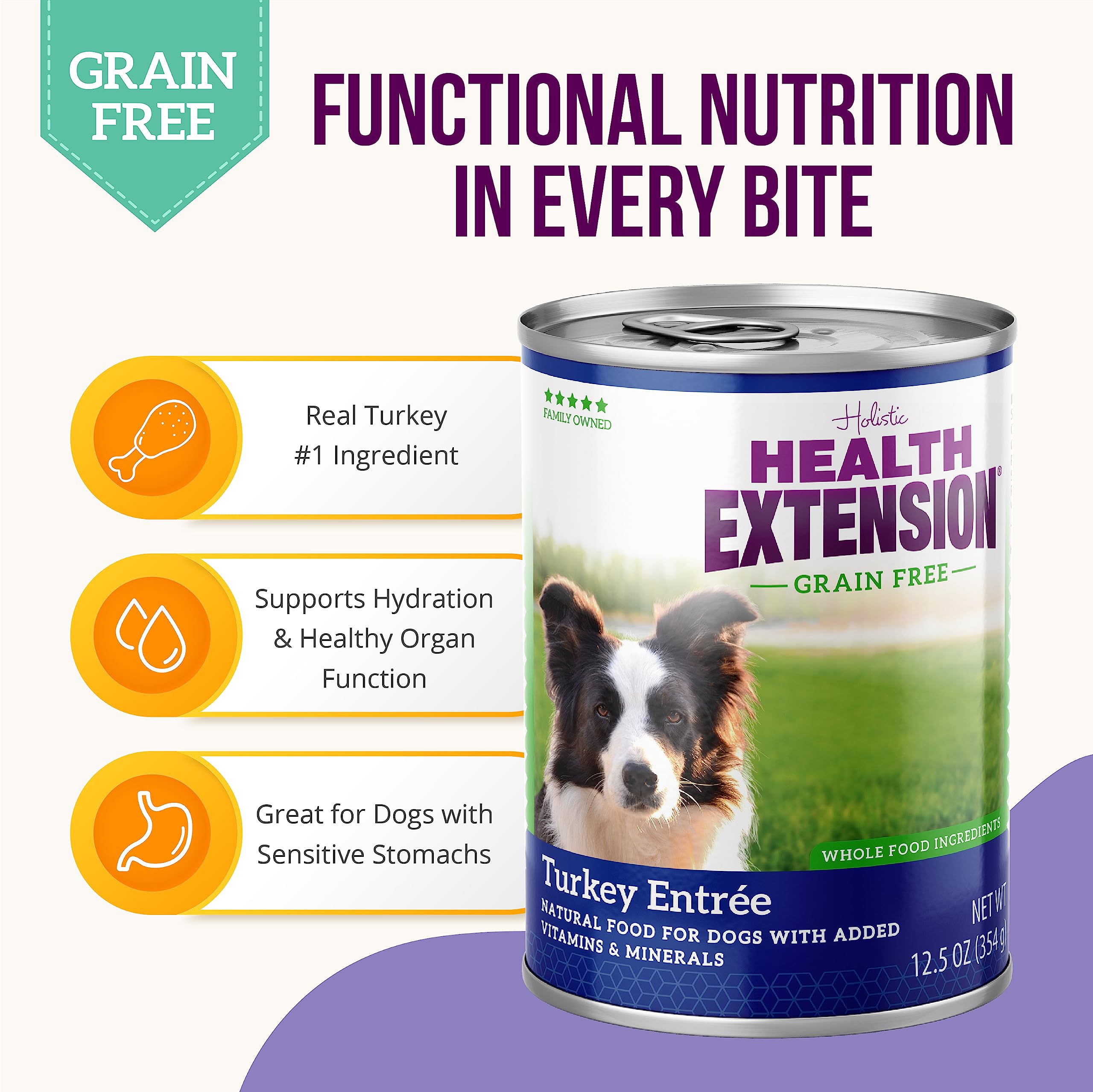 Health Extension wet dog food served in bowl showing balanced nutrition