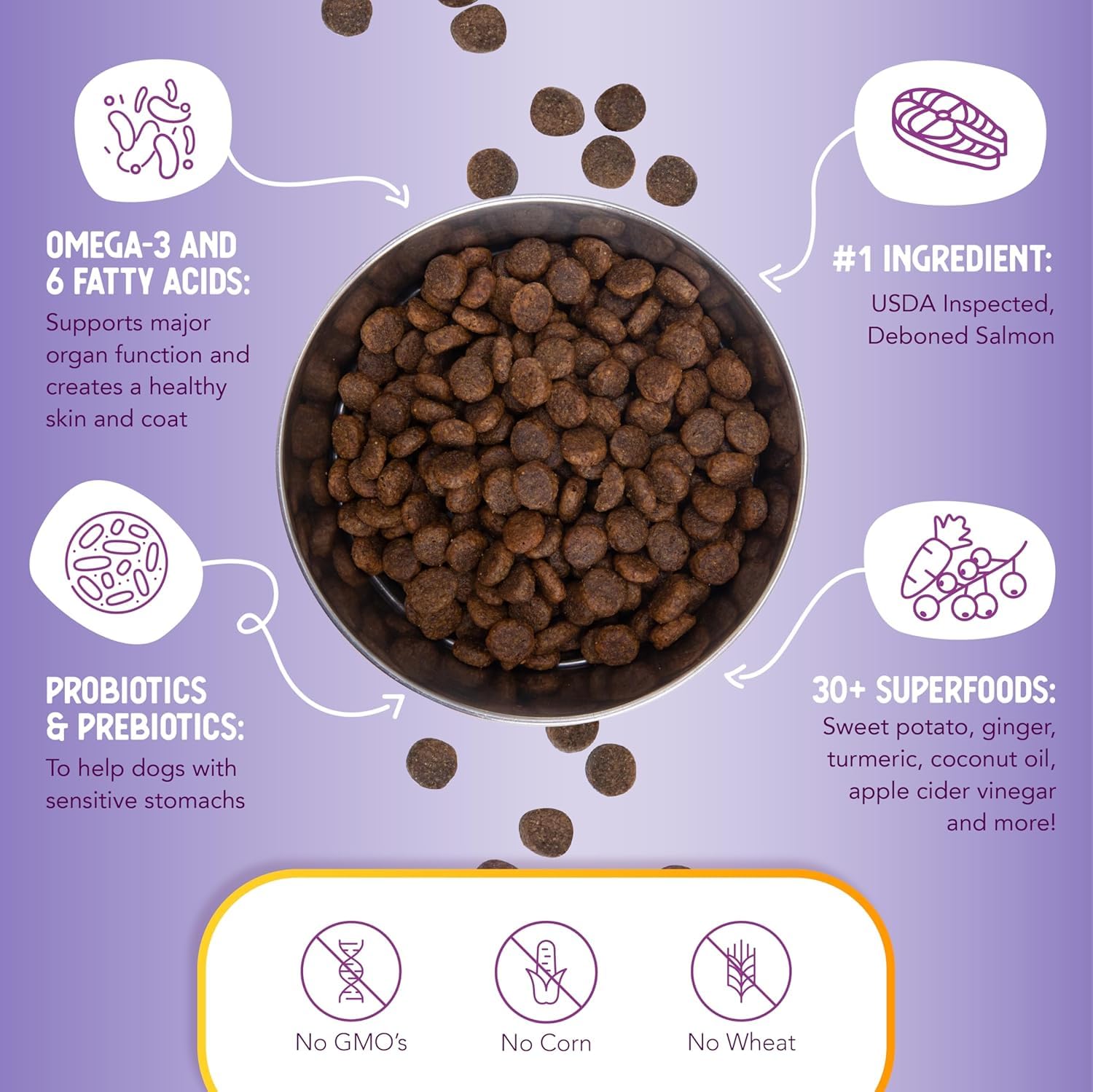 Health Extension turmeric-blueberries-coconut-oil image conveys natural antioxidant and energy support.