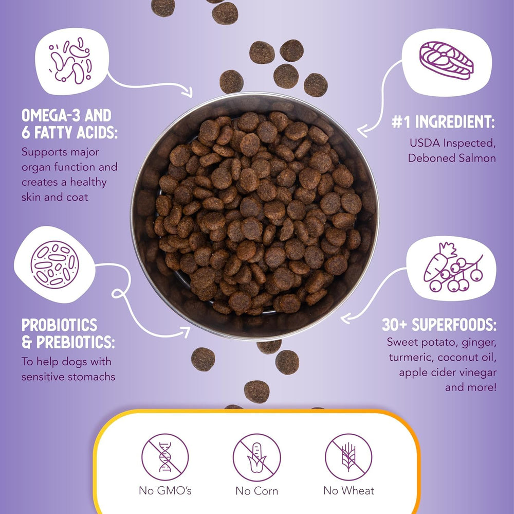 Health Extension turmeric-blueberries-coconut-oil image conveys natural antioxidant and energy support.