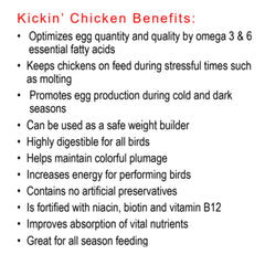 Healthy Coat Kickin Chicken Feed Supplement in poultry coop scene for immune support and energy.