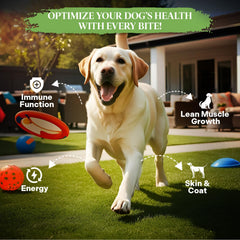Healthy Dogma PetMix Dehydrated Lamb ingredients image highlighting clean, preservative-free formula.