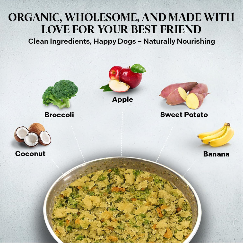Healthy Dogma PetMix ingredients with blueberries illustrate antioxidant-rich heart-friendly nutrition.