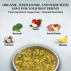 Healthy Dogma PetMix ingredients with blueberries illustrate antioxidant-rich heart-friendly nutrition.