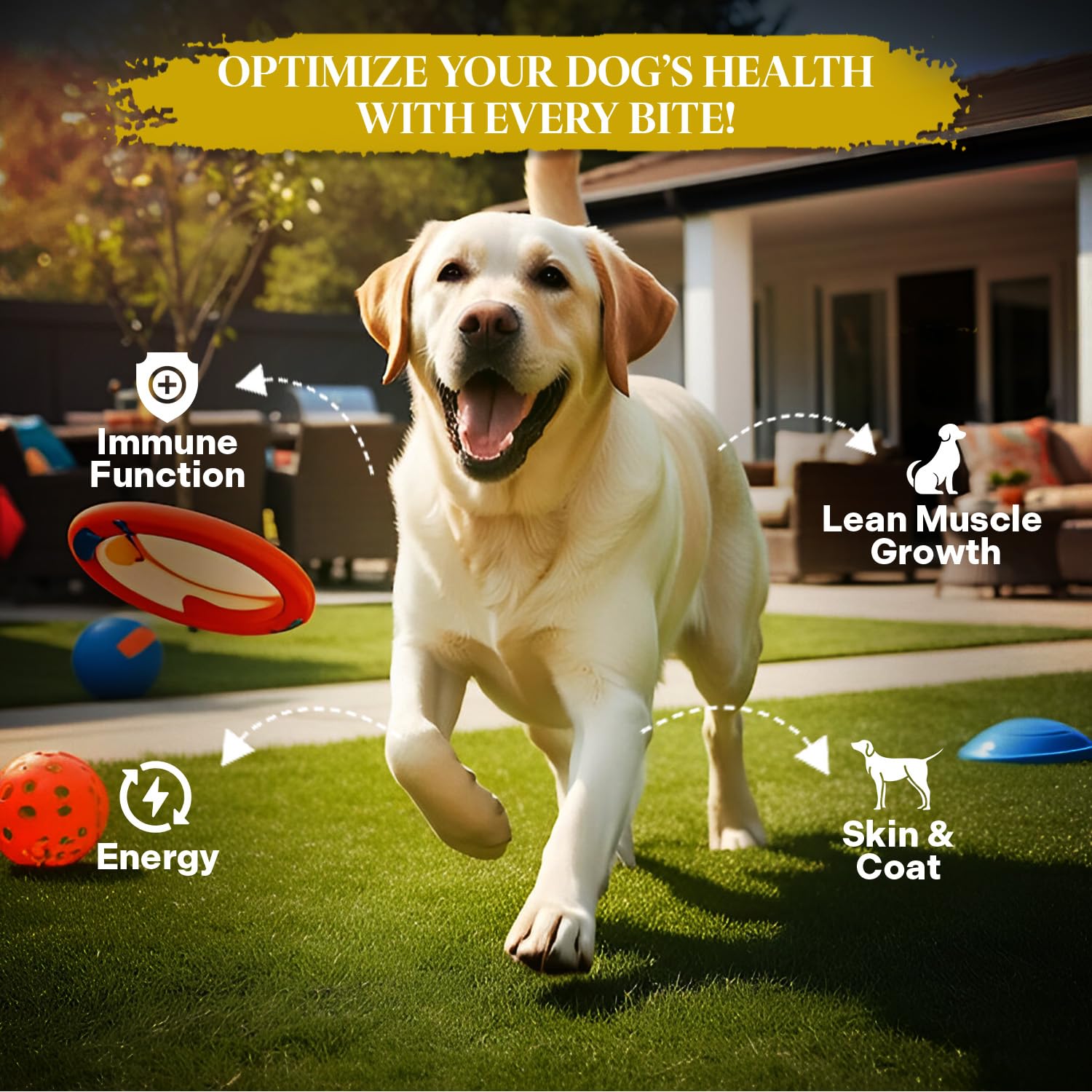 Healthy Dogma PetMix ingredients closeup shows grain-free real meat and produce for gut-friendly nutrition.