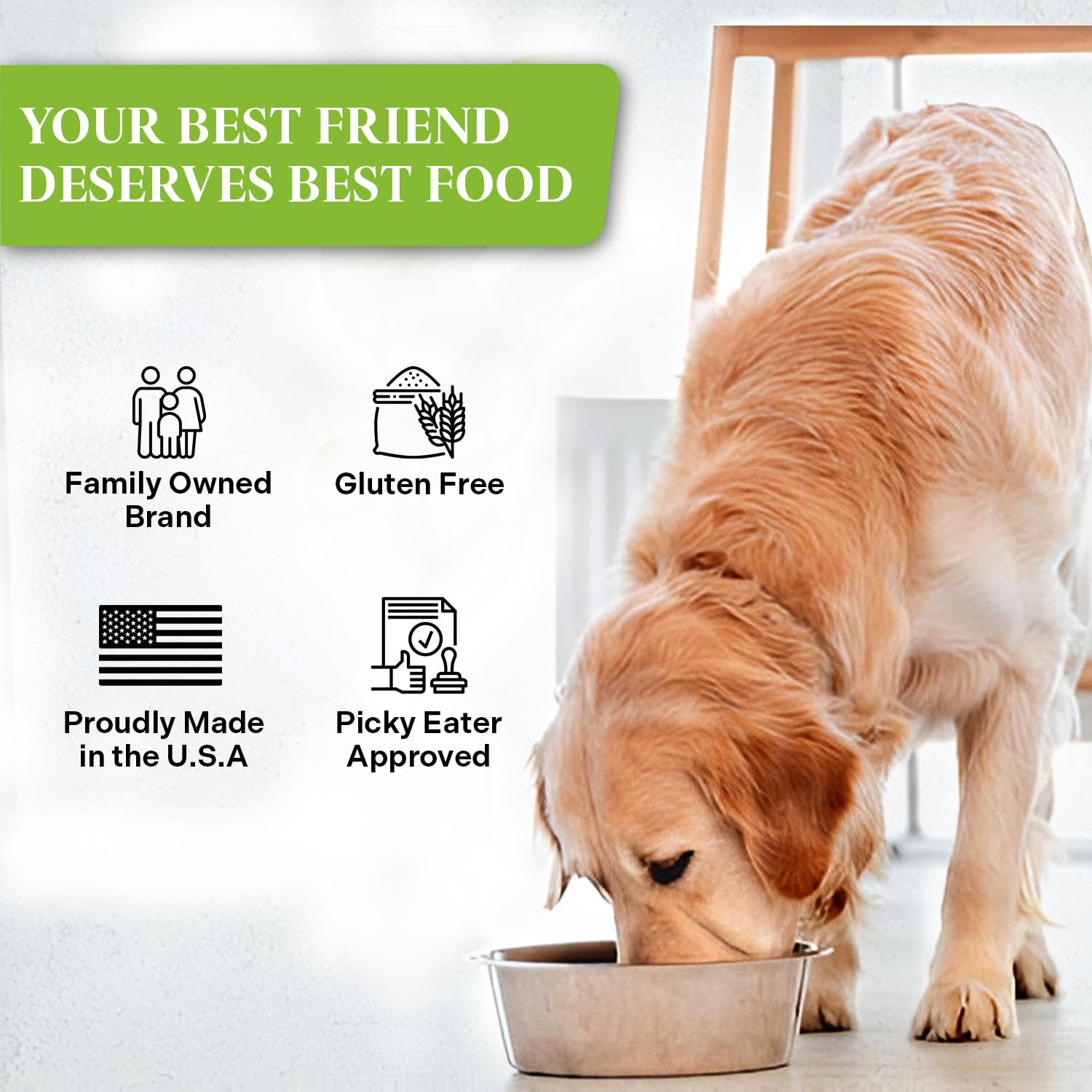 Healthy Dogma PetMix joint support image signals mobility-friendly nourishment.