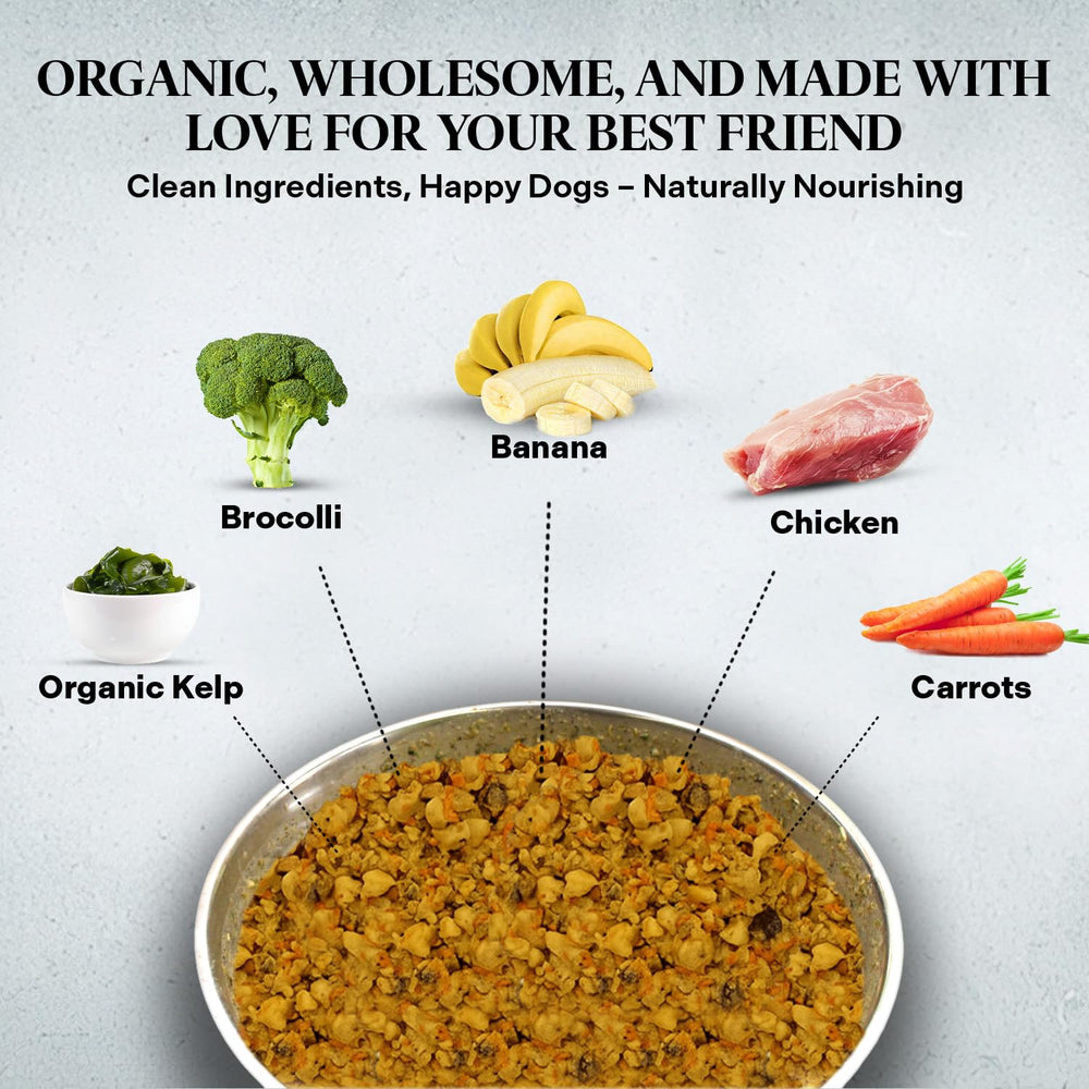 Healthy Dogma PetMix serving bowl ready for mealtime with a balanced dinner.