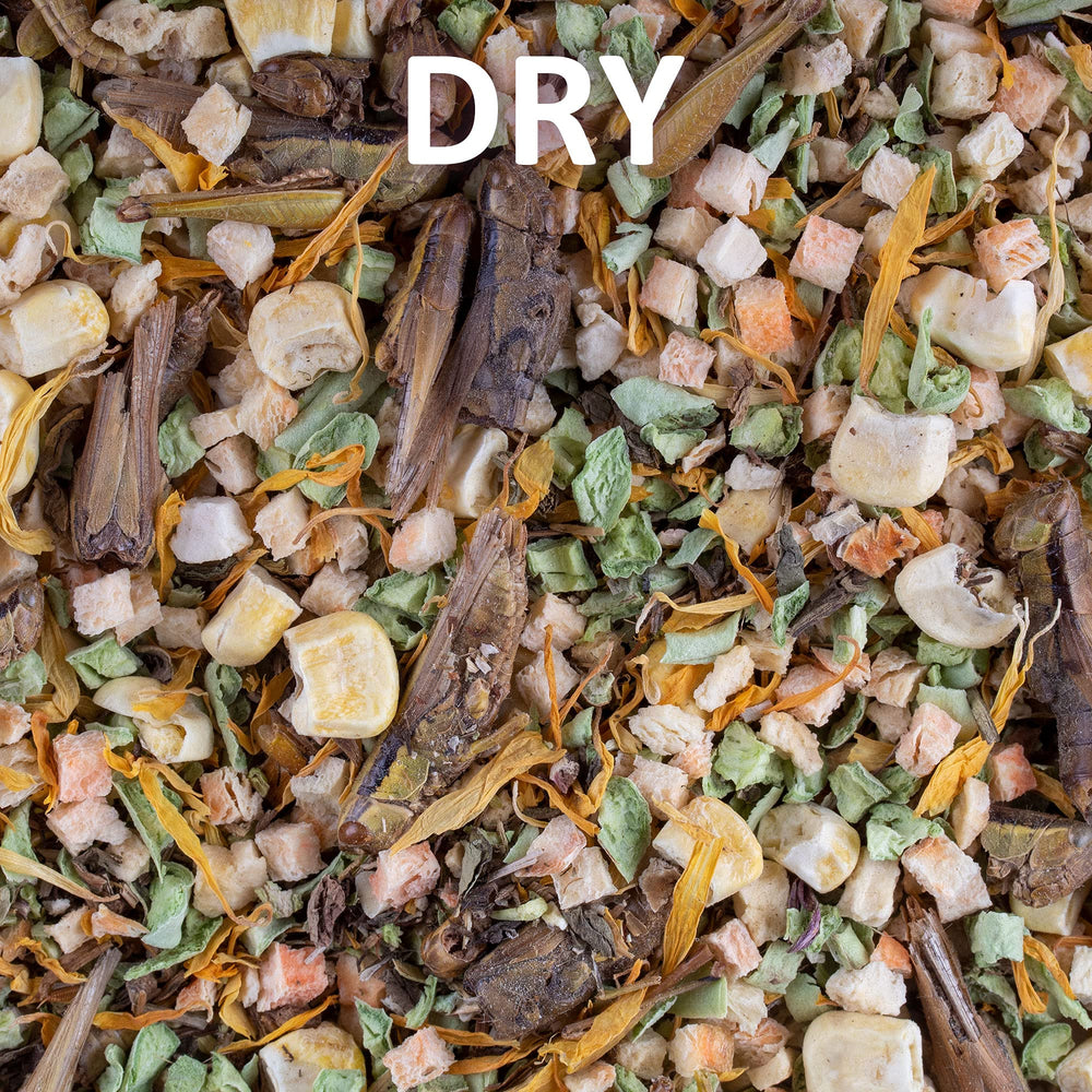 Healthy Herp Bearded Dragon Food Instant Meal bulk pack supports feeding multiple reptiles.