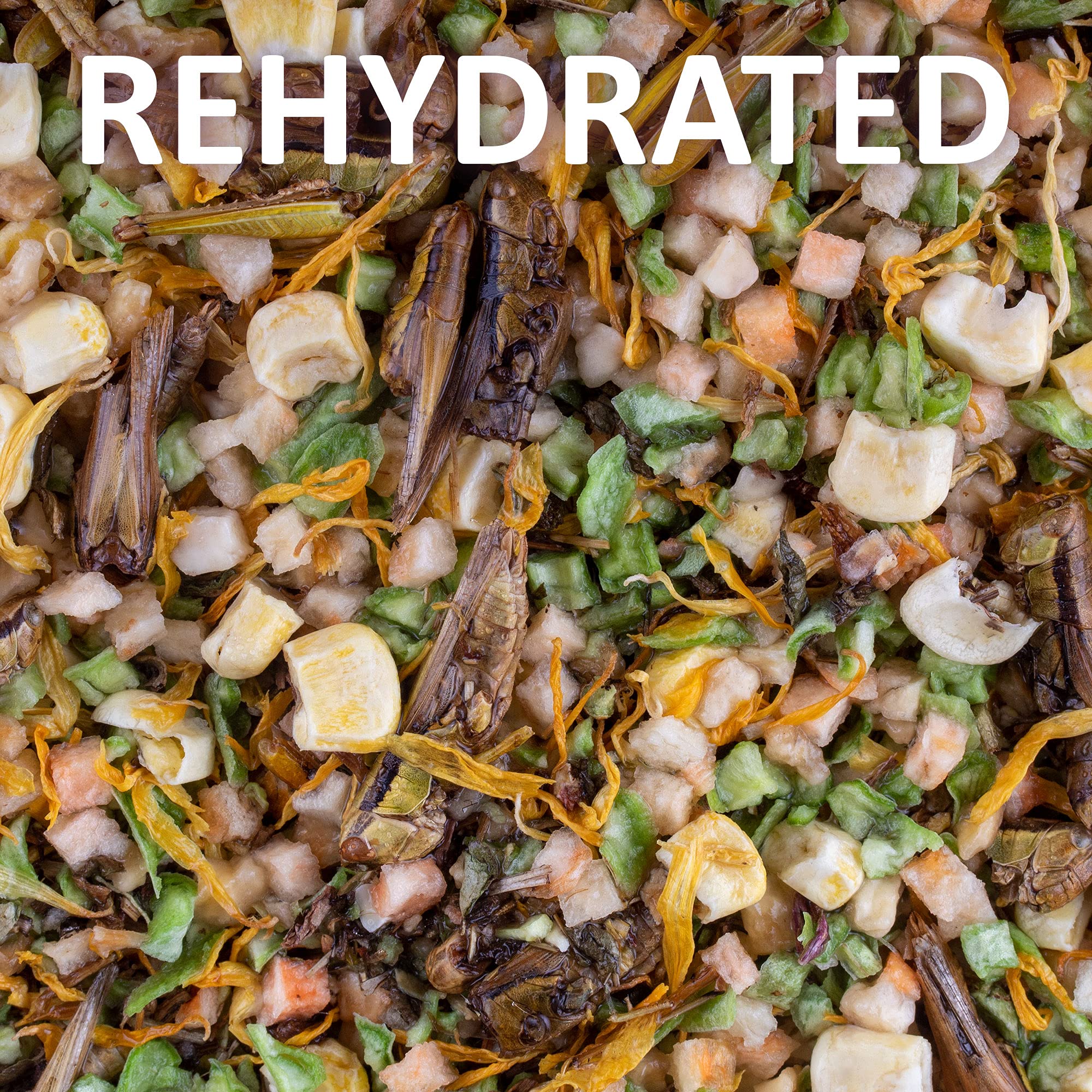 Healthy Herp Bearded Dragon Food Instant Meal suitable for various reptiles, not just bearded dragons.