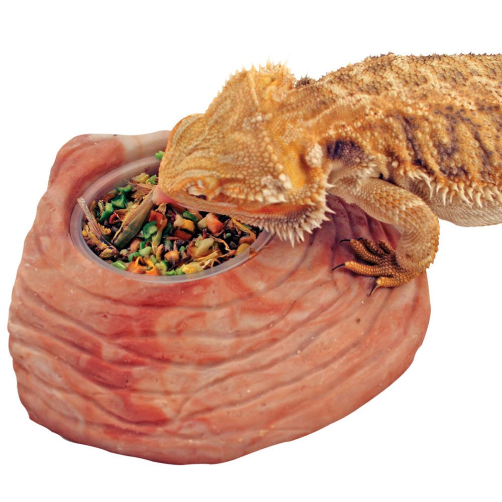 Healthy Herp Bearded Dragon Food Instant Meal nutritious blend supports balanced reptile nutrition.