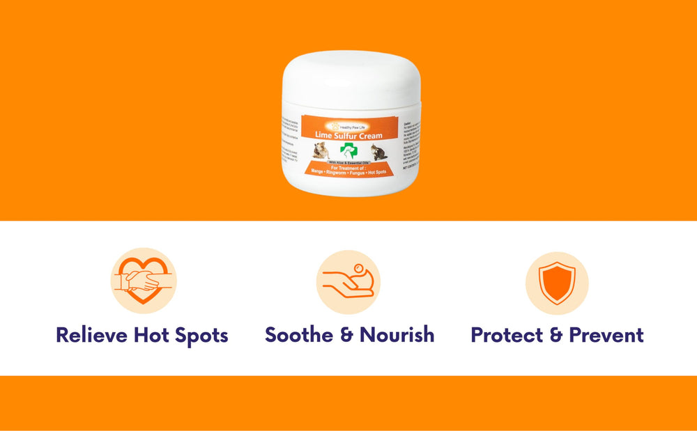 Healthy Paw Life lime sulfur ointment jar with calming botanical blend