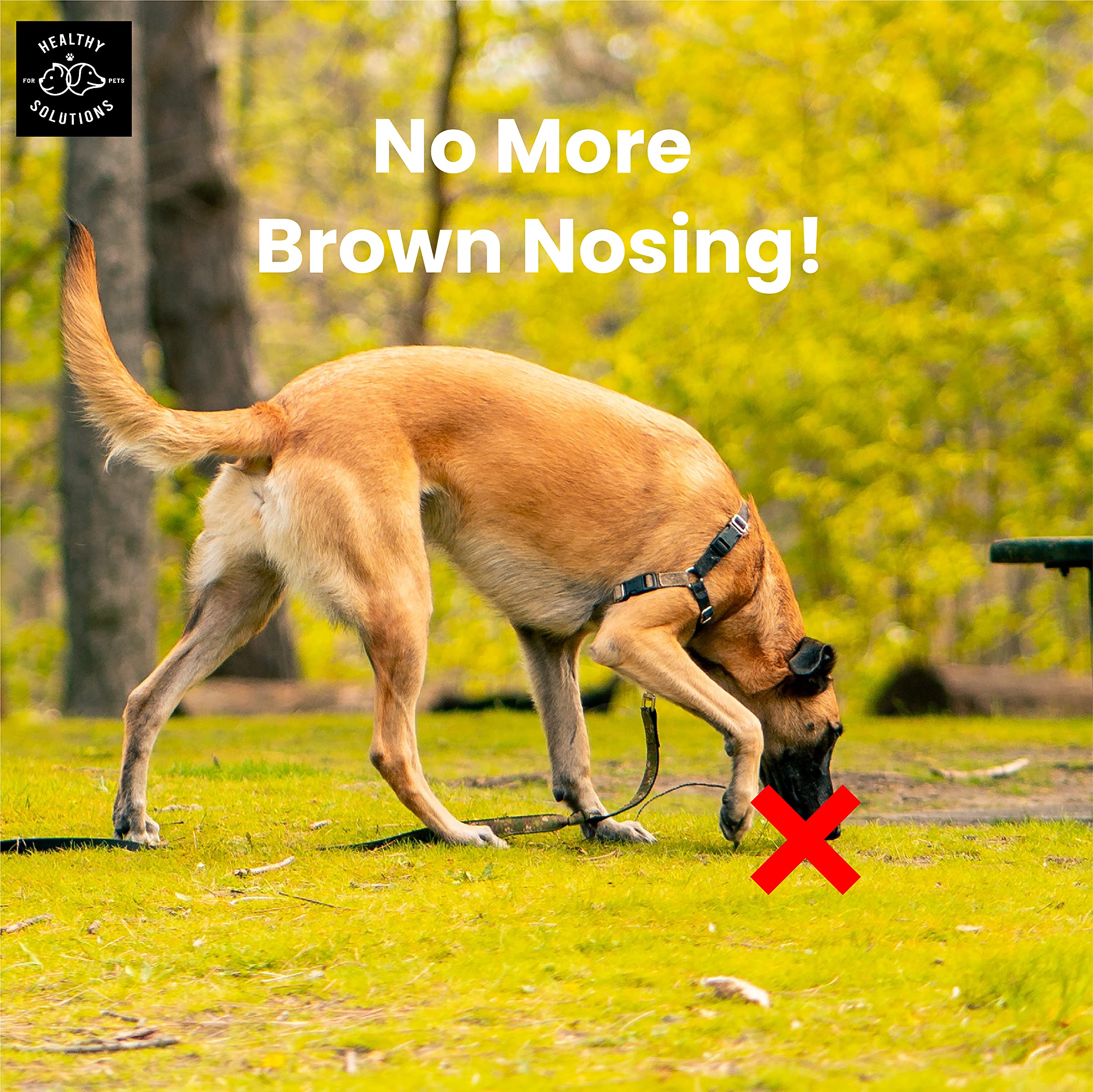 Healthy Solutions For Pets breath-freshening chews improve pet breath