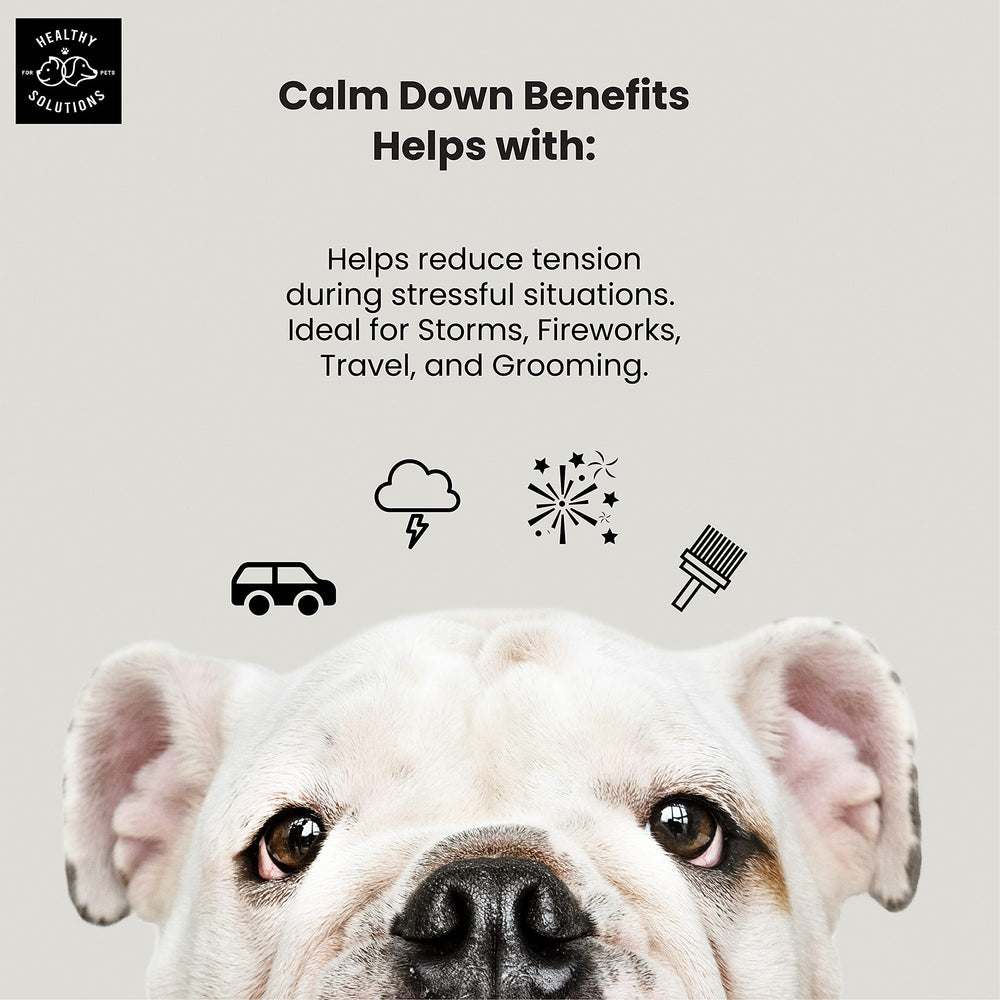 Healthy Solutions For Pets Calming Chews label emphasizes melatonin and ginger for gentle rest.