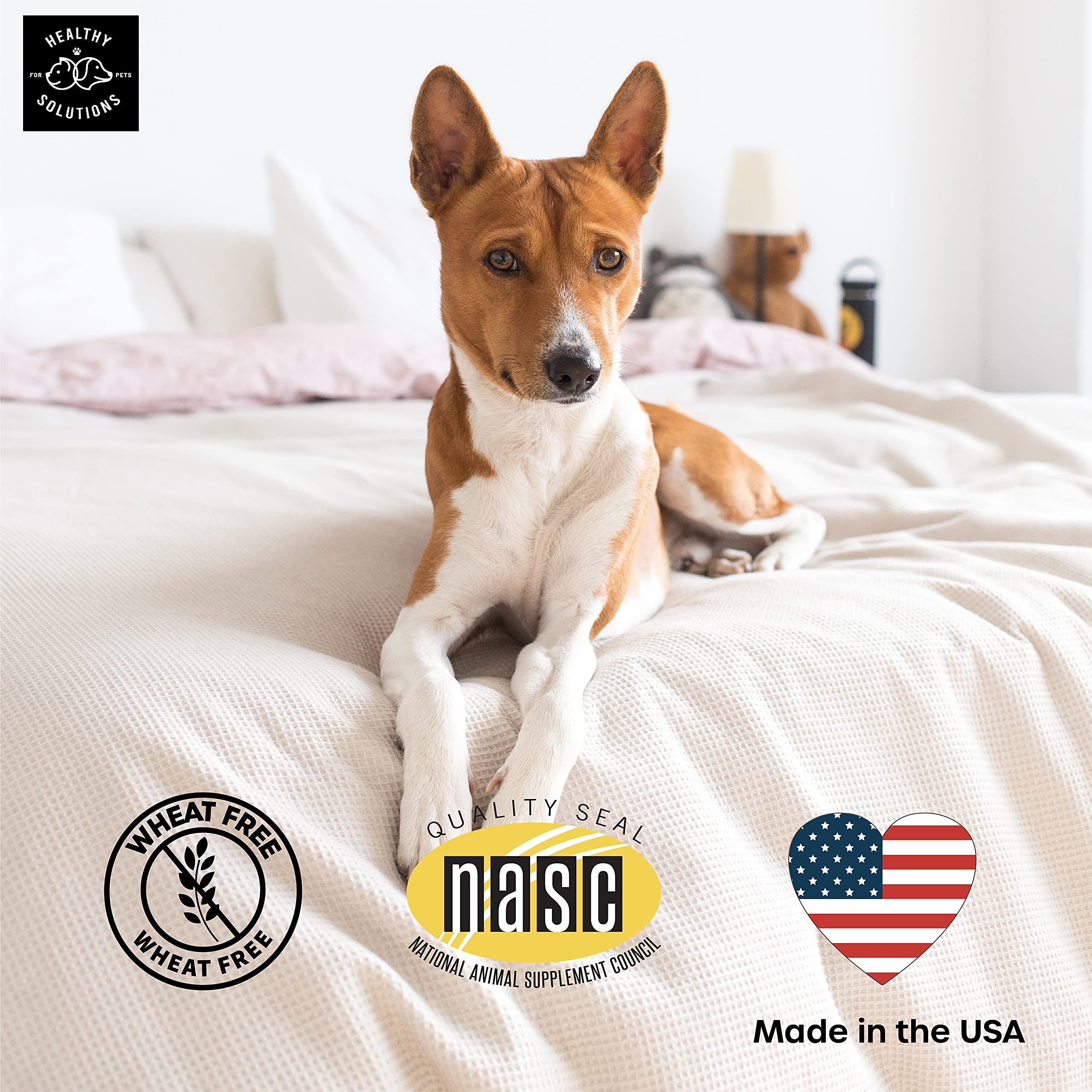 Healthy Solutions For Pets USA-made dog supplement in FDA audited facility