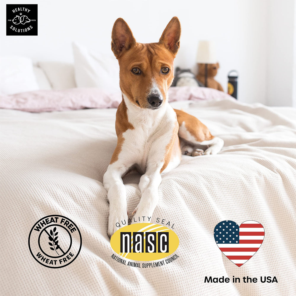 Healthy Solutions For Pets USA-made dog supplement in FDA audited facility